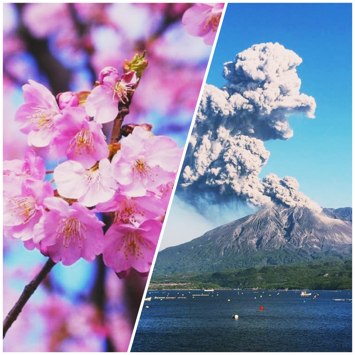 Сакура/Сакурадзима