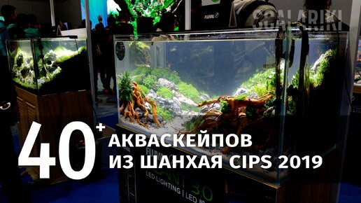 40 акваскейпов из Шанхая CIPS 2019