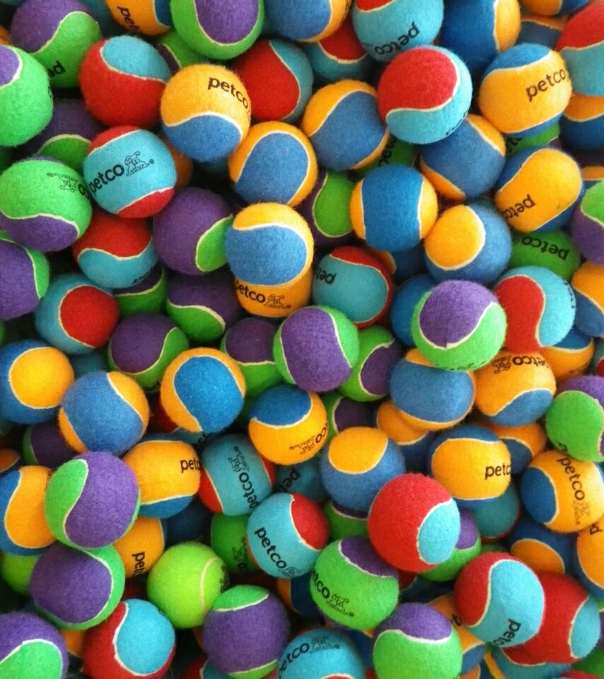 Ставки на спорт сейчас более популярны, чем когда-либо , благодаря постоянно растущему количеству новых букмекерских контор, появляющихся в сети. В результате обострения конкуренции между букмекерскими канторами у игроков появляется гораздо более широкий выбор видов ставок .