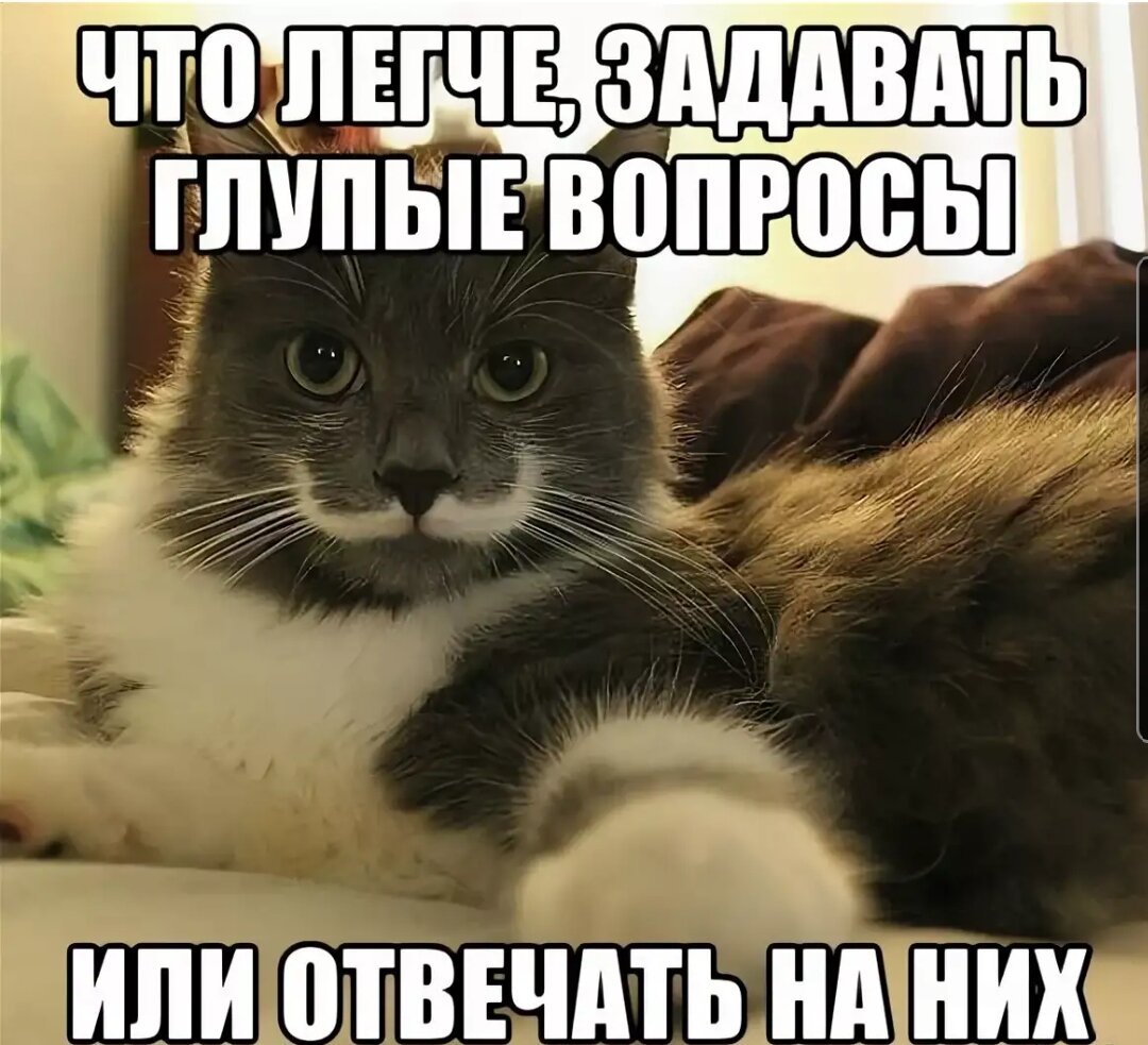Что делаешь ответ картинки