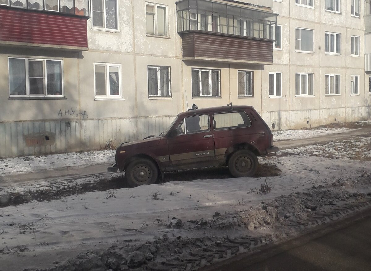 " Танки" грязи не боятся! ( Фото автора)