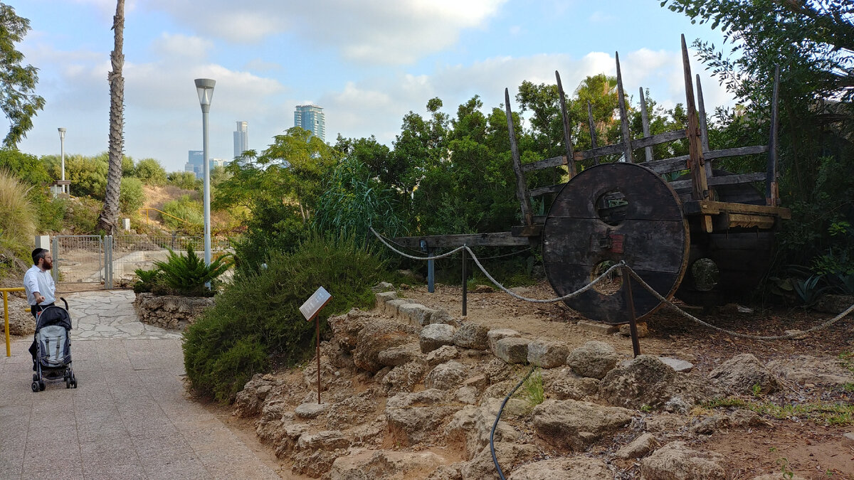 Черкесская телега в музее "Эрец Исраэль" в Тель-Авиве 