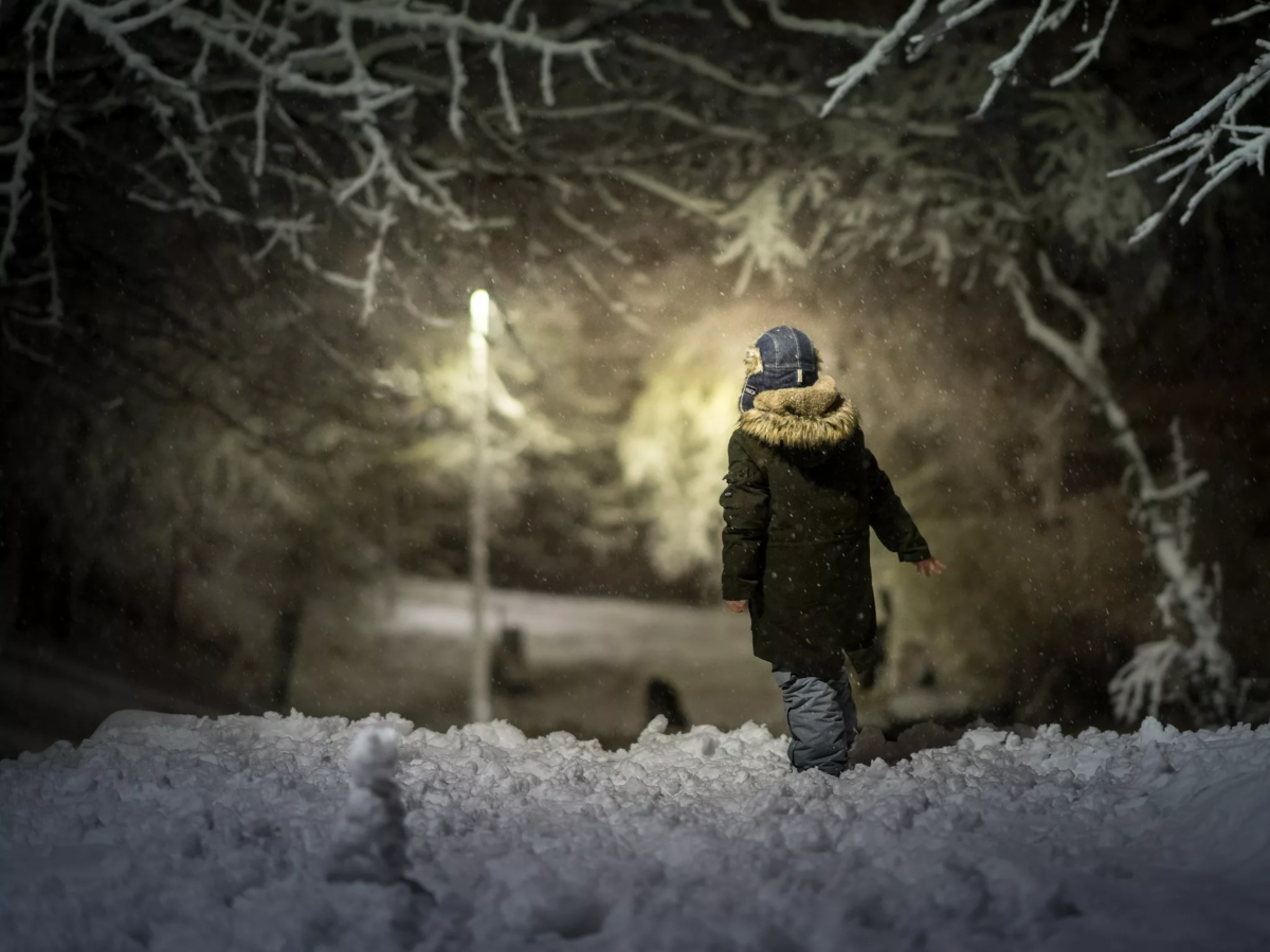 Фото из открытых источников Яндекс 