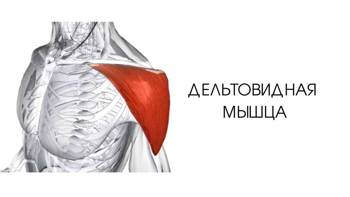 Кронштейн для крепления внешних блоков №2 (с усилением ребра) (450x500мм)