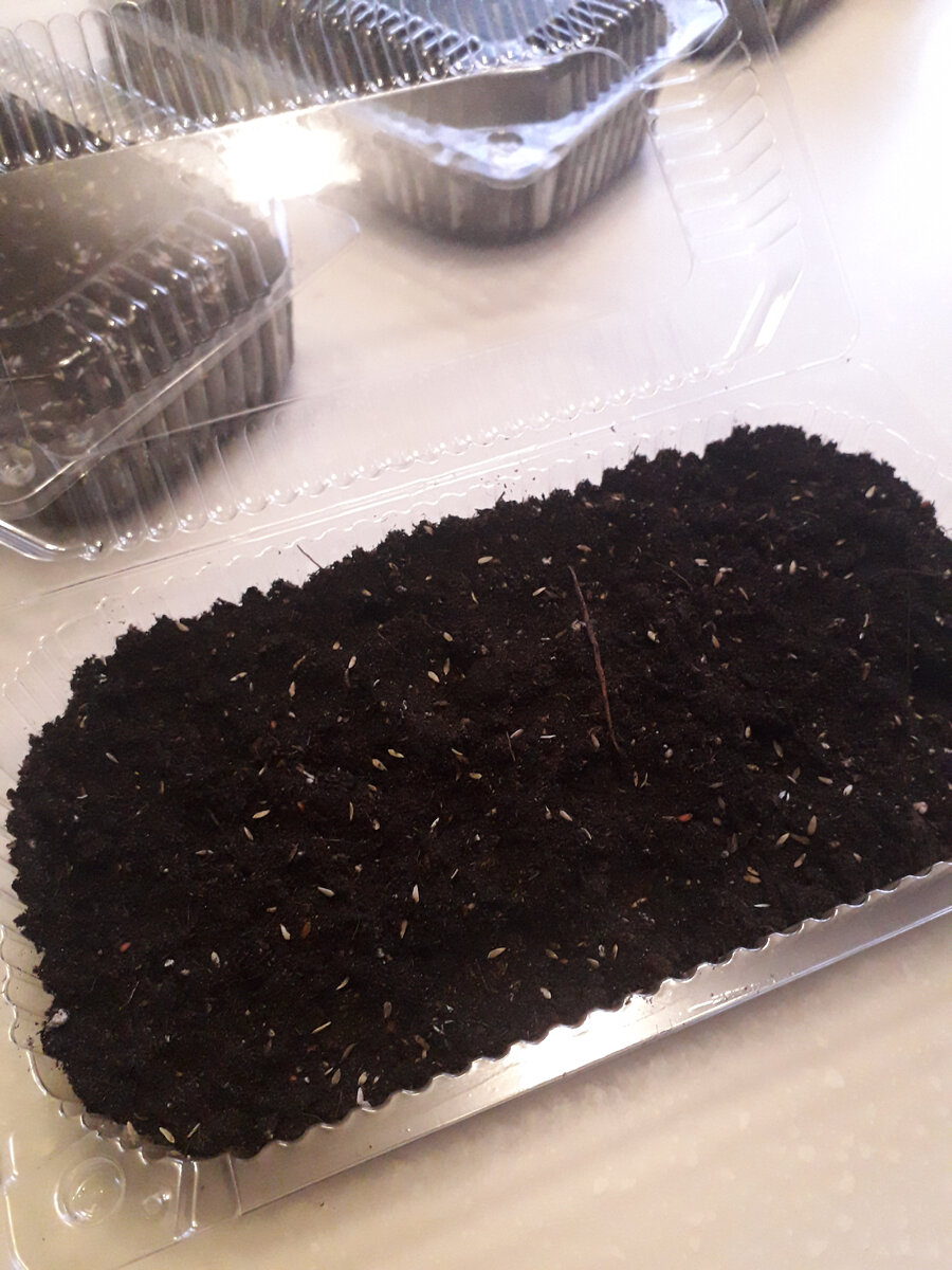 Почва должна быть легкой и влагопроницаемой...