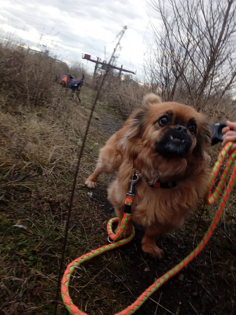 Карамелька