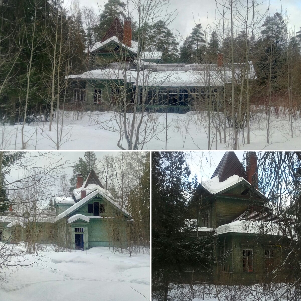 Прогулка по Вырице - дуб черешчатый, памятник Сталину, дача Дюфур. |  КрайНеВедение | Дзен