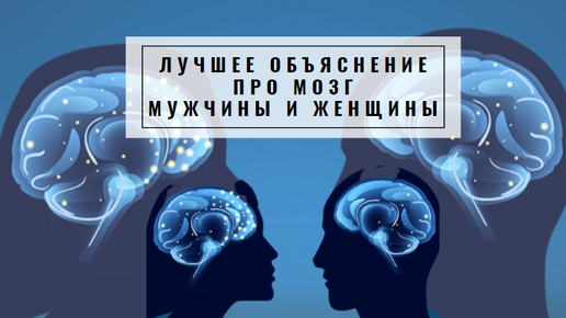 Мозг мужчины и женщины. Мозг мужчины и женщины различия. Мозг мужчины. Разница мужского и женского мозга.