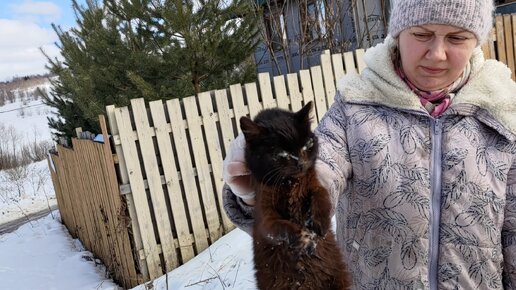 Подбросили слепого котенка - Отвези его к ветеринару, если можно помочь поможем, если нет укол чтобы не мучился