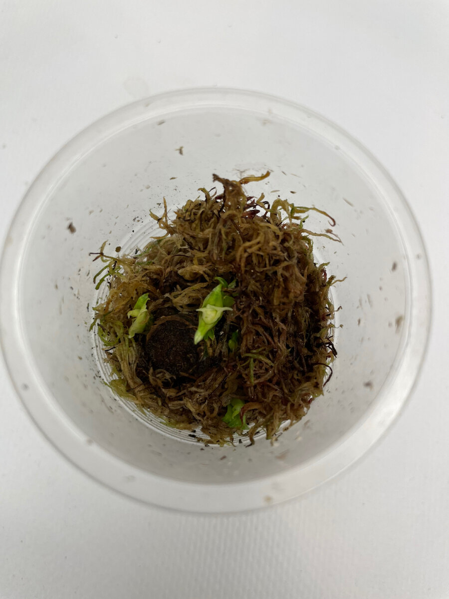 Через месяц. Жизни со мной. 