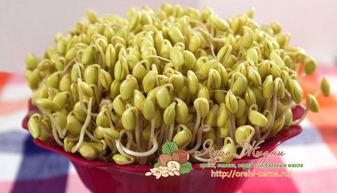 Фото взято из открытых источников