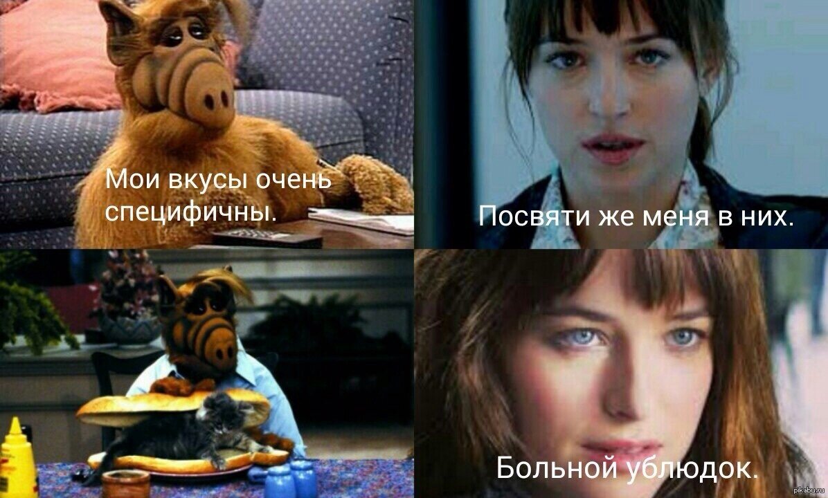 Ты не кот, ты бублик!