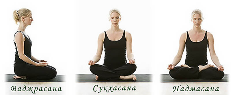 Фото из открытых источников.