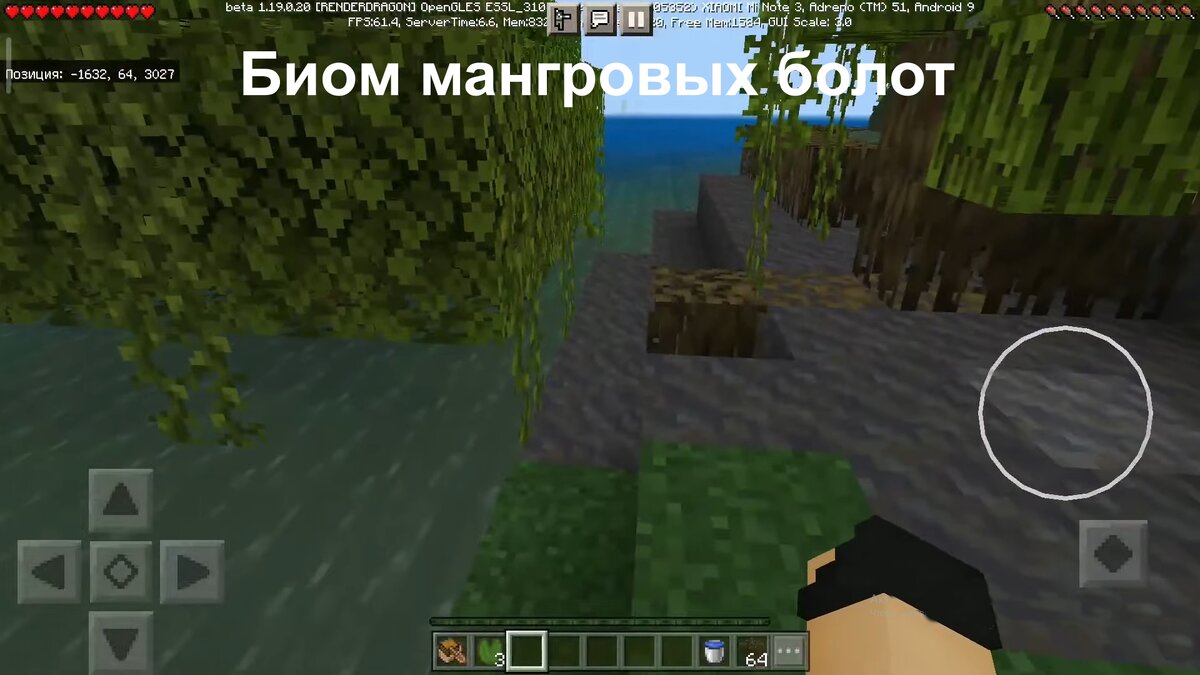 Биом мангровых болот