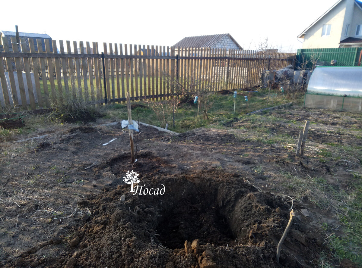 Если яма не была выкопана заранее, её нужно очень хорошо пролить, чтобы земля осела.