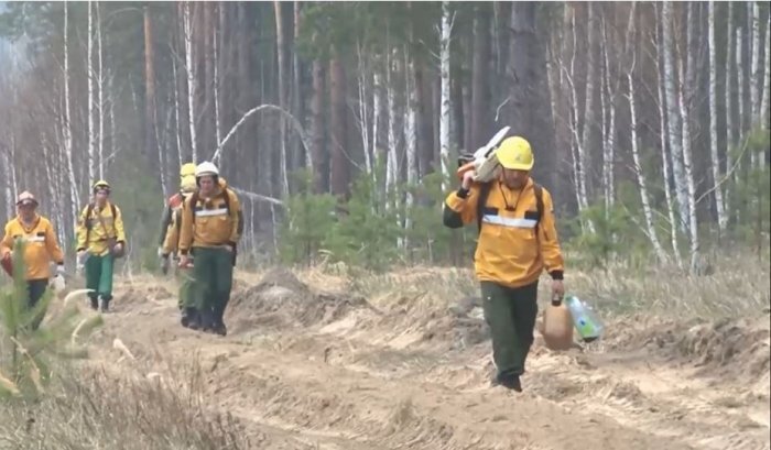 Фото: пресс-служба ФБУ «Авиалесоохрана»