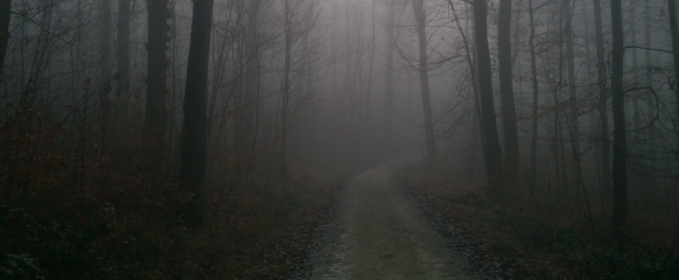 картинка взята из интернета автор не указан.