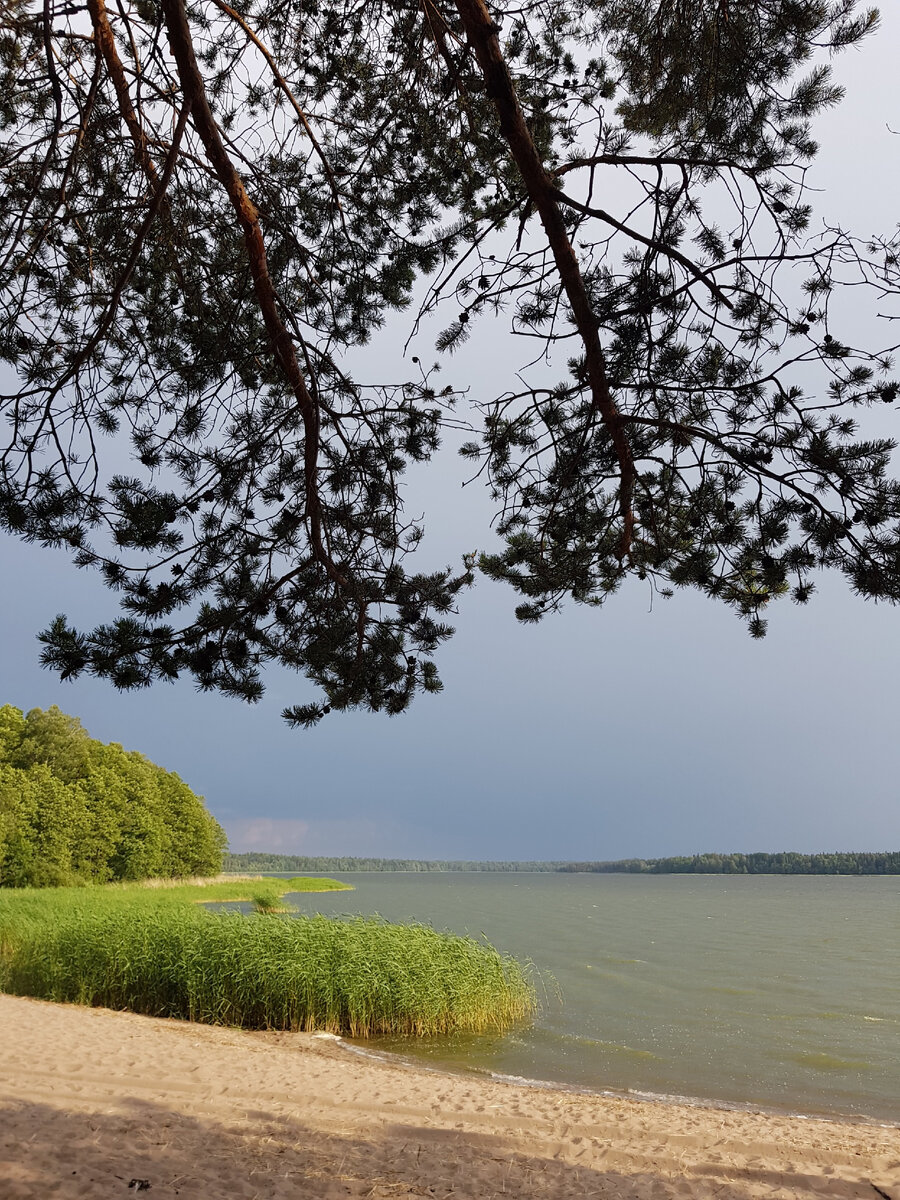 Липовское озеро с соленой водой (фото из личного архива)