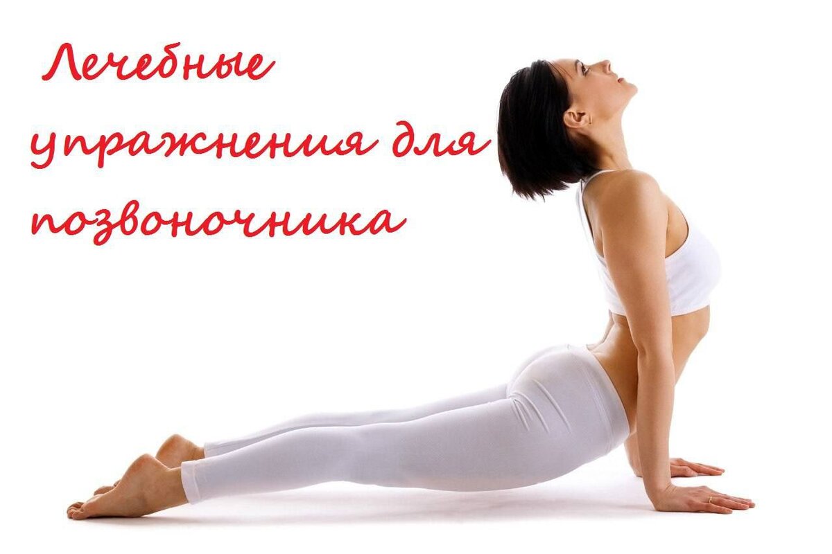 Упражнение для спины в позе собаки