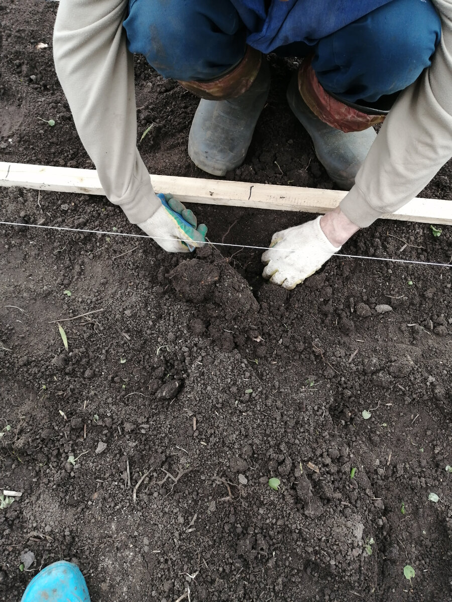Сажаем под ни точку и под разметку. 