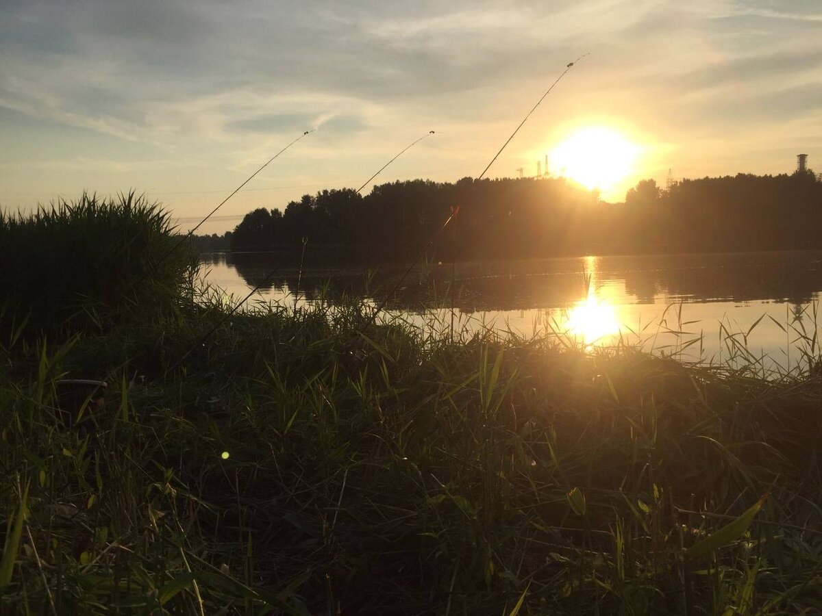 3 установленных фидера