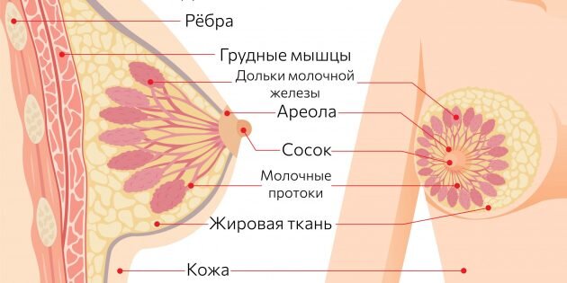 Изображение: MatoomMi / Shutterstock📷
