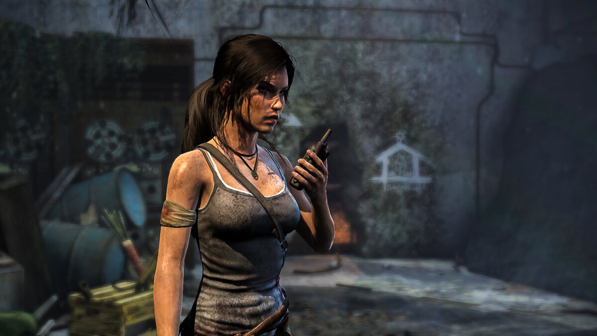 Tomb Raider зимний лес