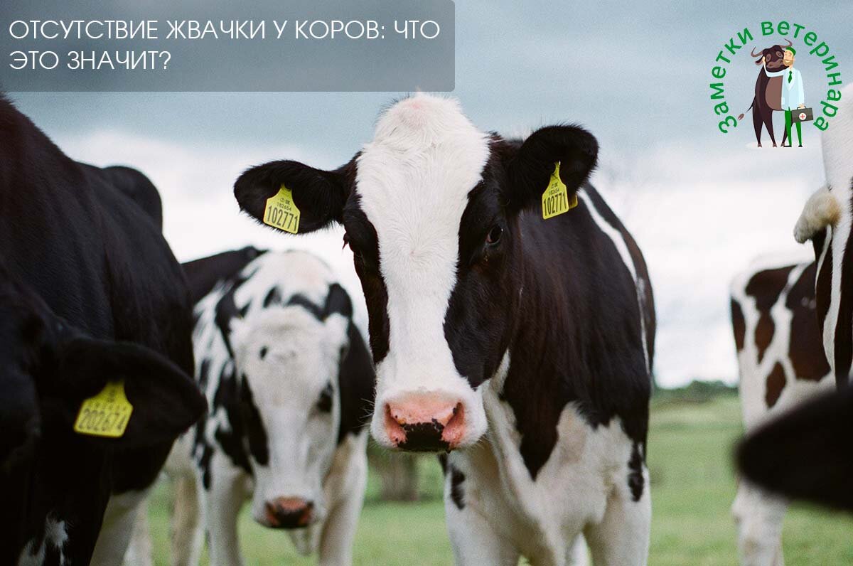 Фото: unsplash.com