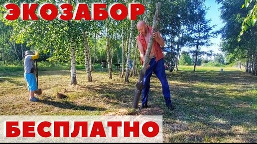 СДЕЛАЛ БЕСПЛАТНЫЙ ЗАБОР! Скоро все так делать будут.... | БАТИНА ...