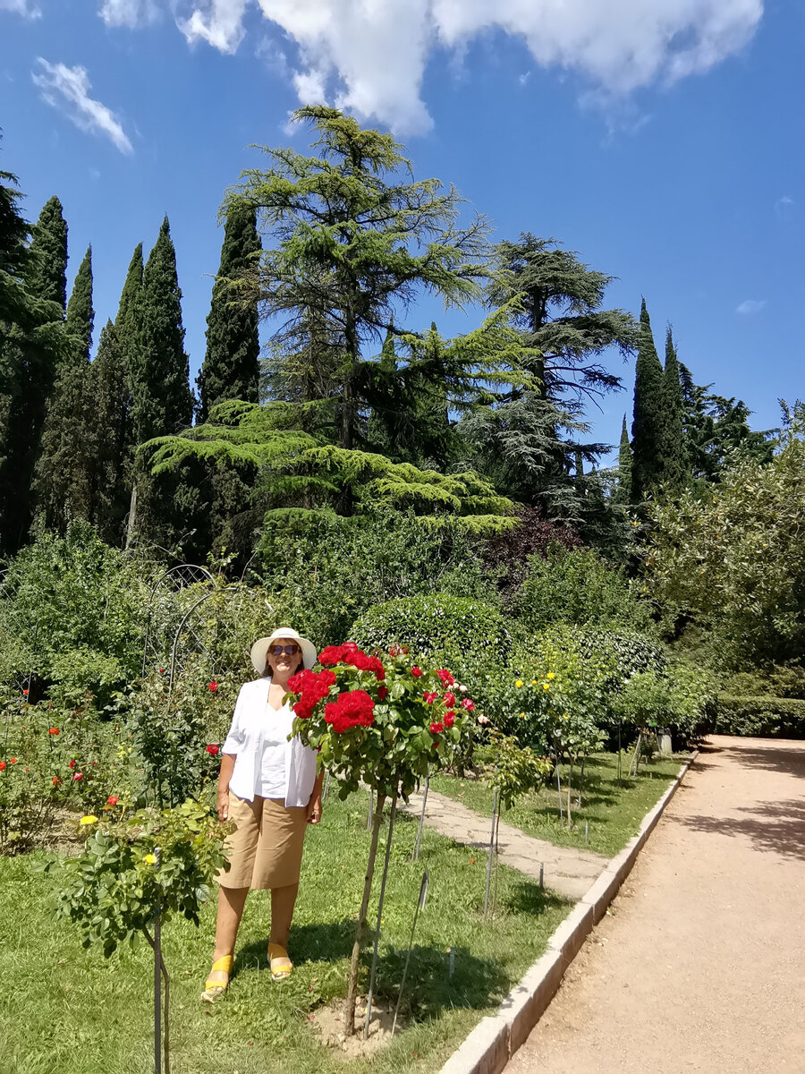 Вот такая розочка, привитая на шиповник. 