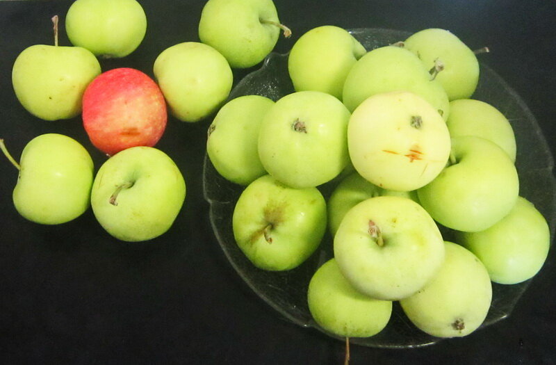 Все фотографии в публикации - авторские