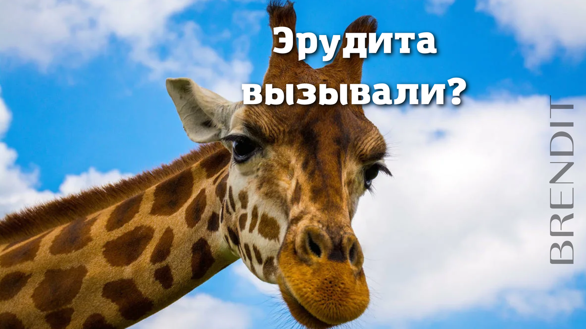 Источник исходника: nrdc.org