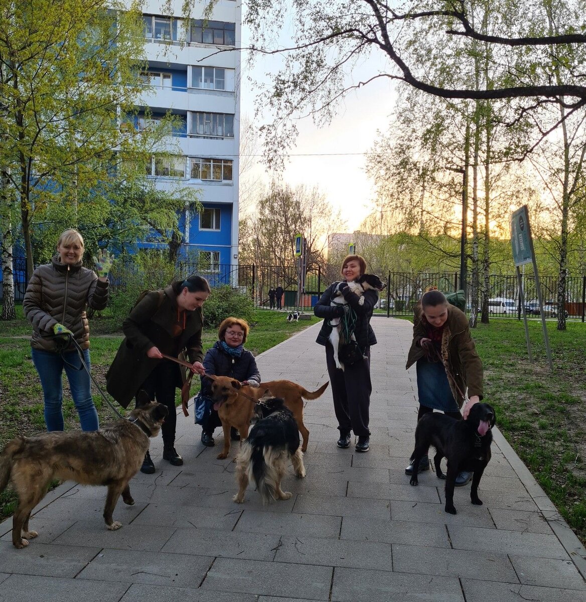 Фото- собственность канала