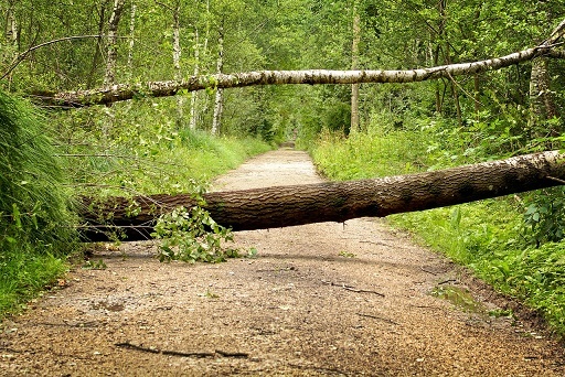 фото из свободного доступа.
