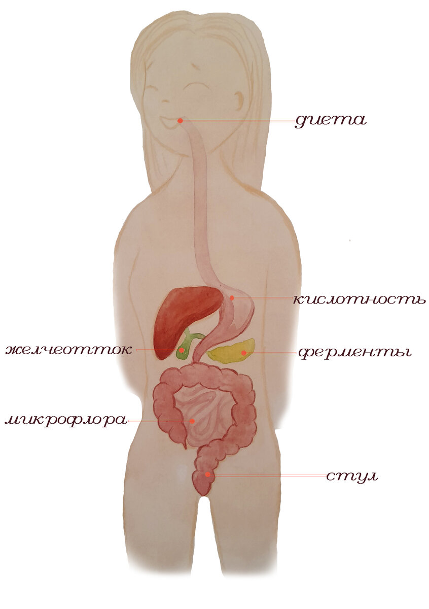 Врачи отделения