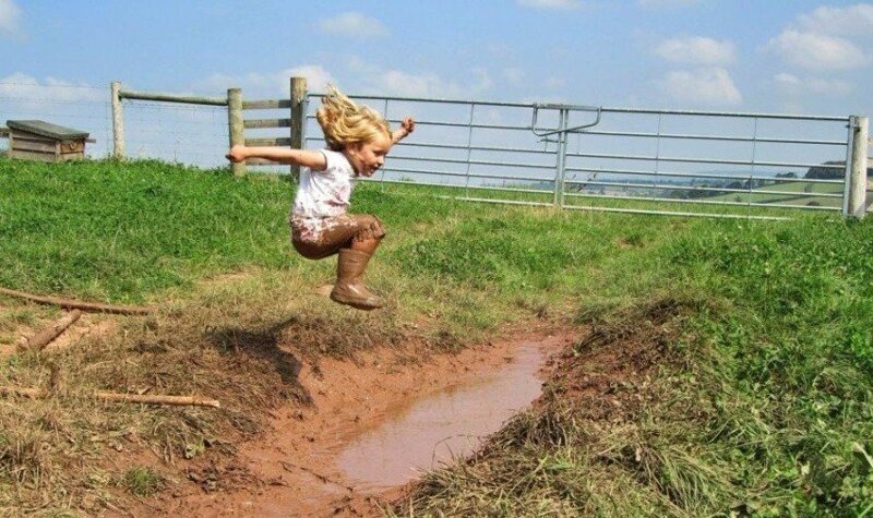 Яндекс- картинки. 