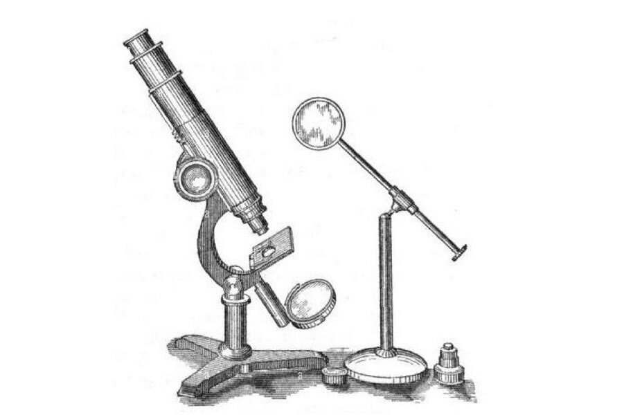 Микроскоп 17 века картинки