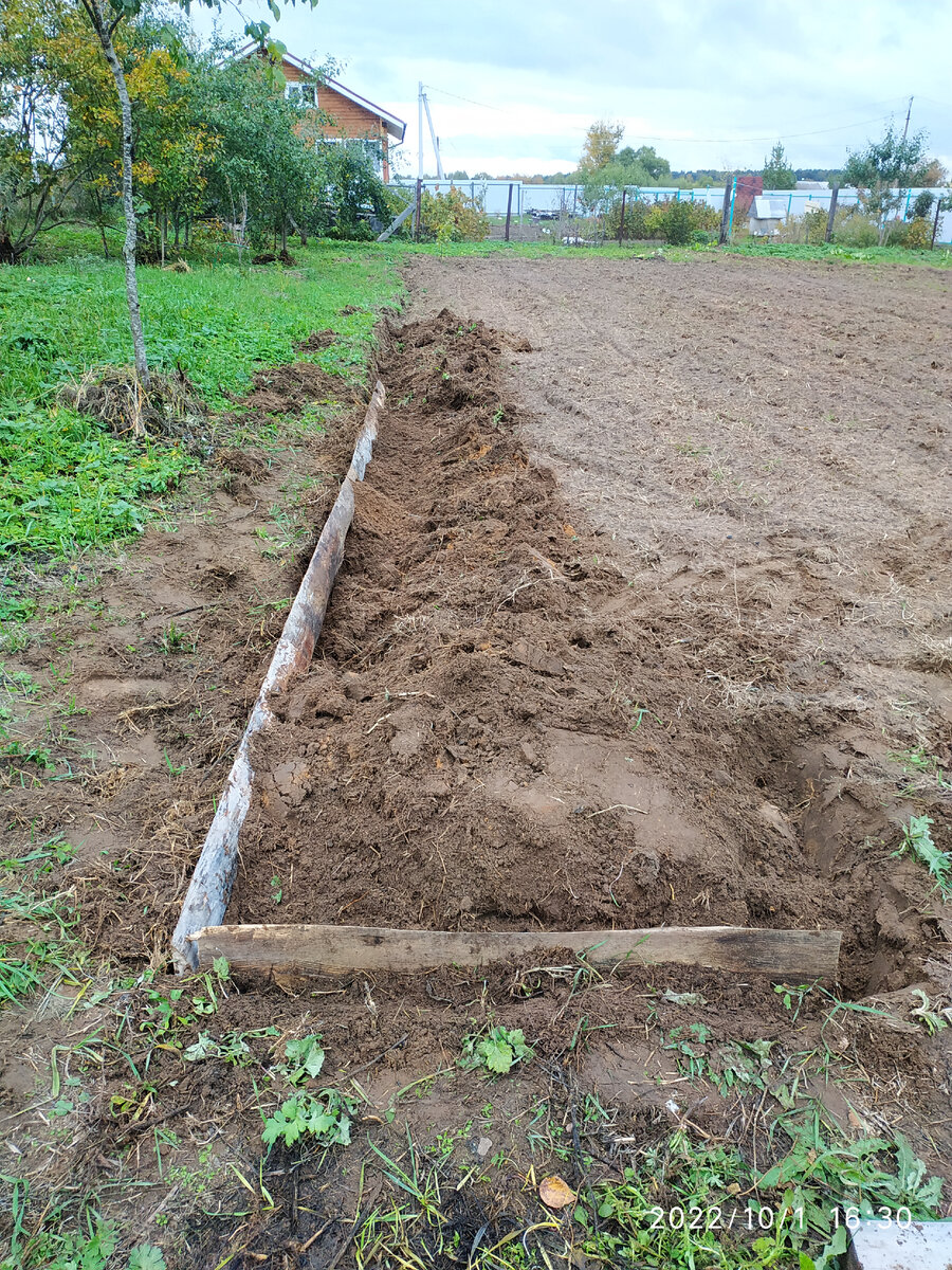 Грядка в огороде.