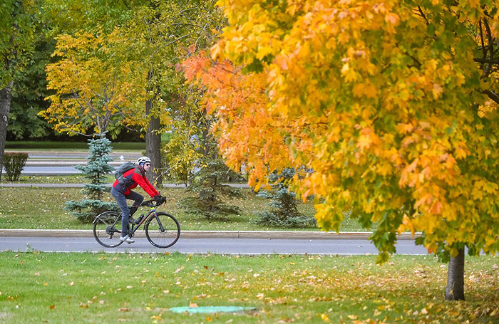   Сергей Киселев/АГН «Москва»