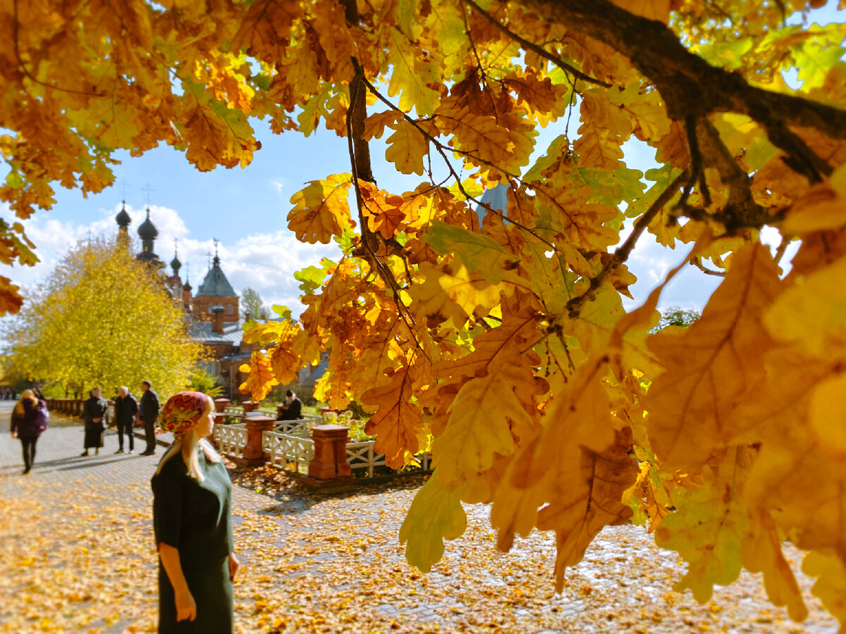 Золотая осень в Шамордино