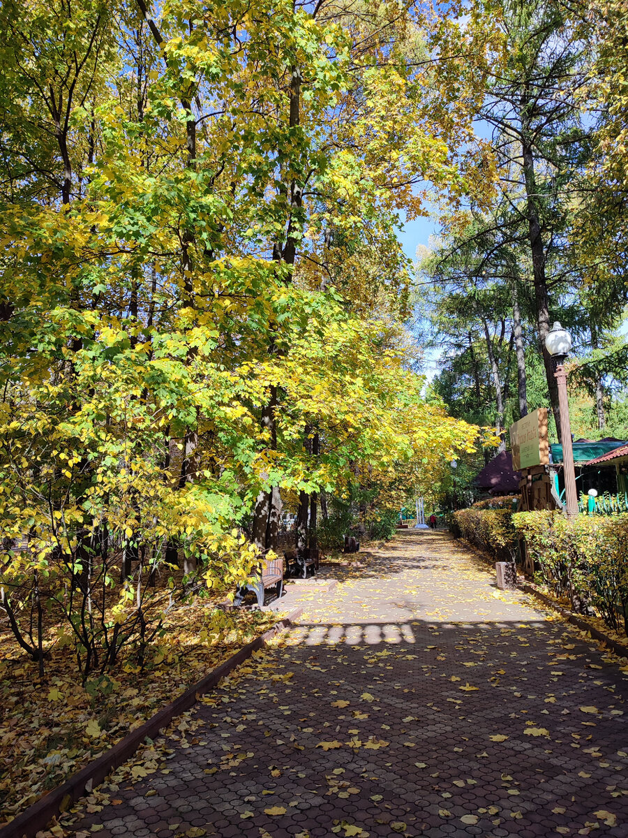 Все фото автора 