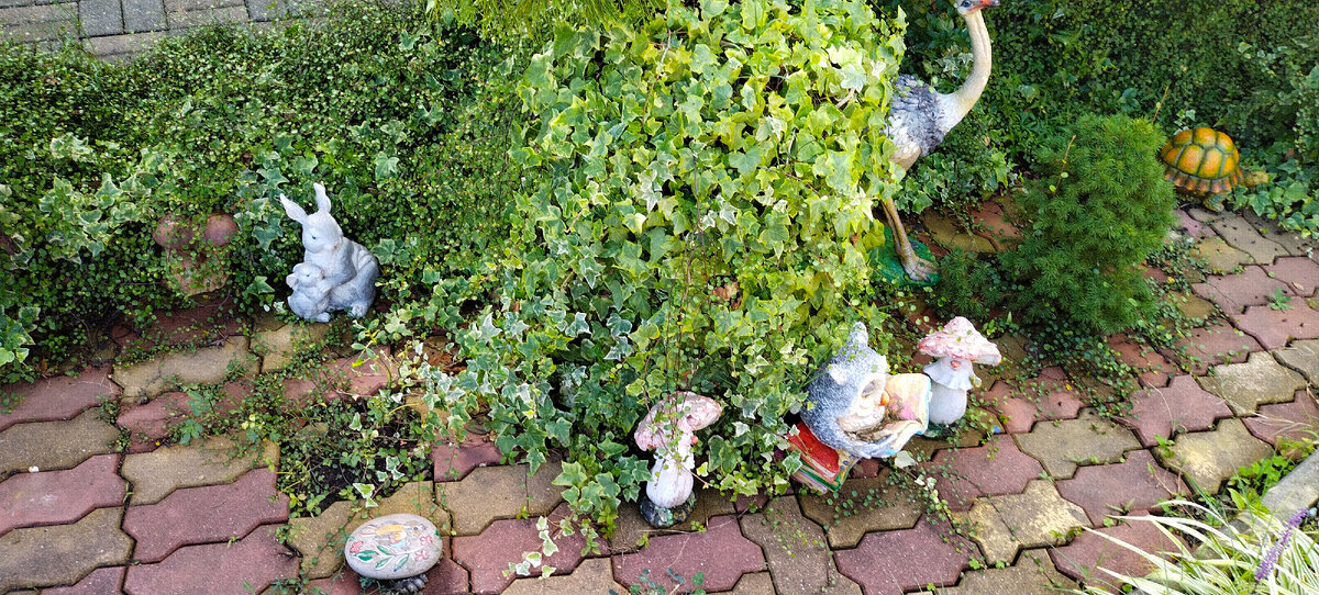 Фото автора канала