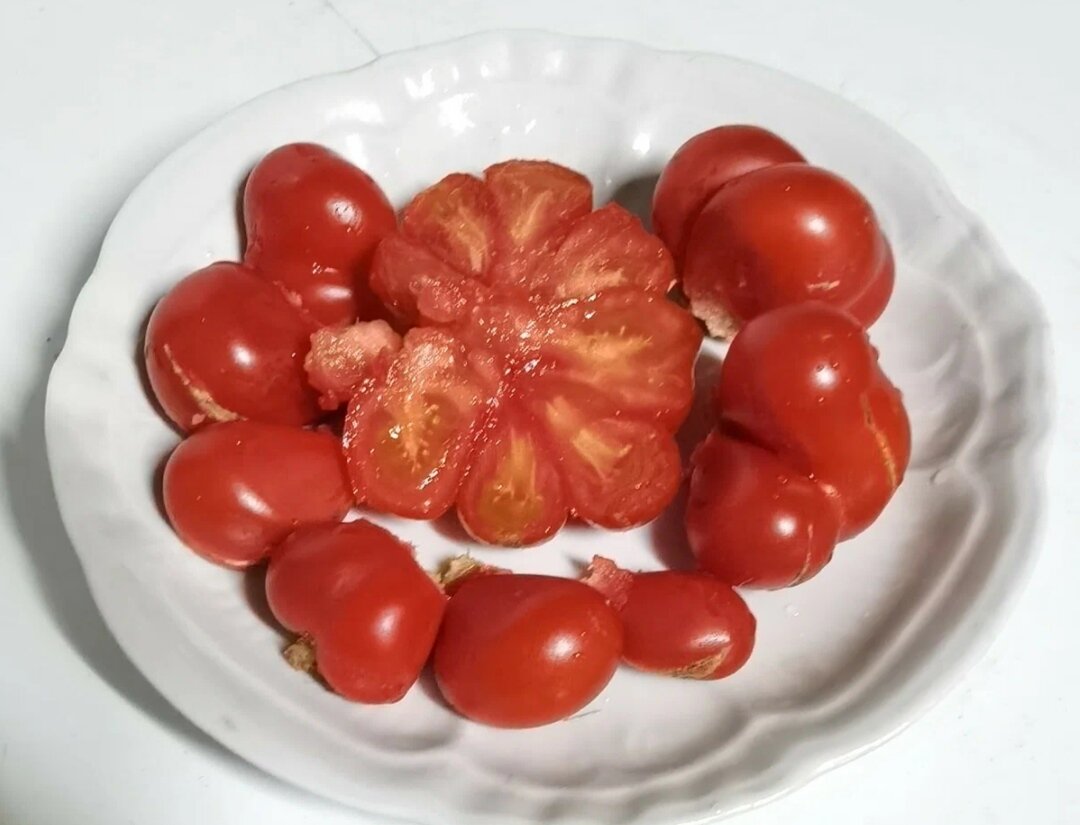 Фарш помидоры чеснок