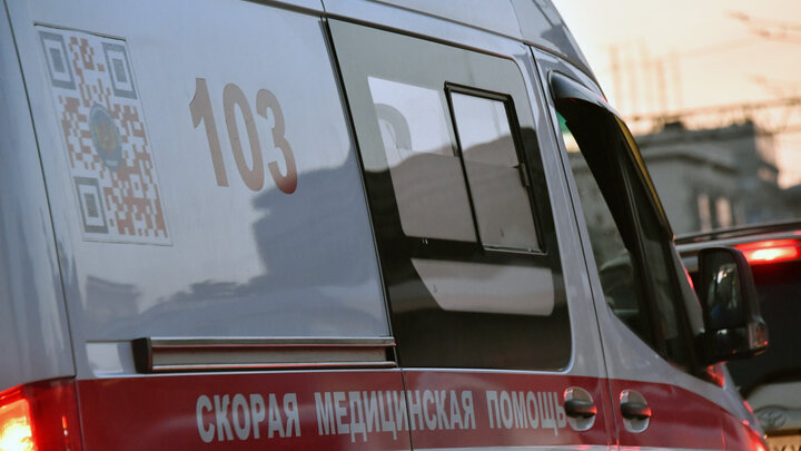 VLADIMIR BARANOV/GLOBALLOOKPRESS