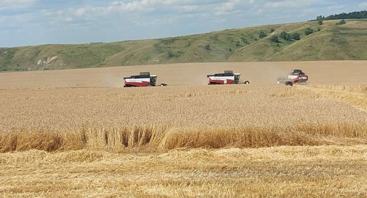    Уборочная 2023 в Башкортостане перевалила экватор