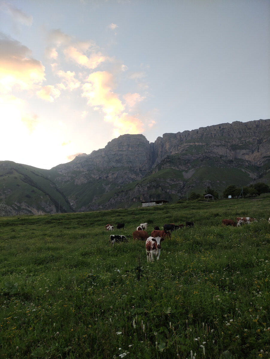 У подножья горы