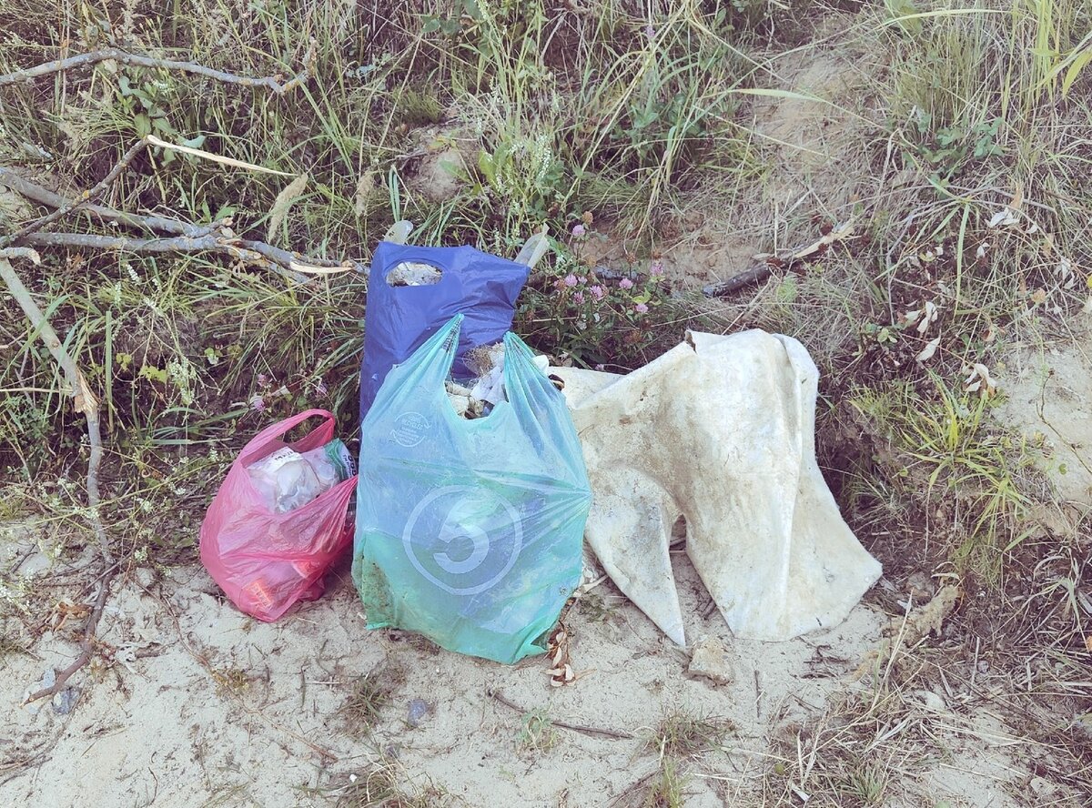 Собрали на берегу немного мусора. К сожалению, больше с собой не было пакетов. Фото автора