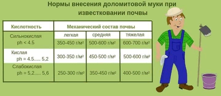 Как и чем раскислить почву на участке для повышения урожайности