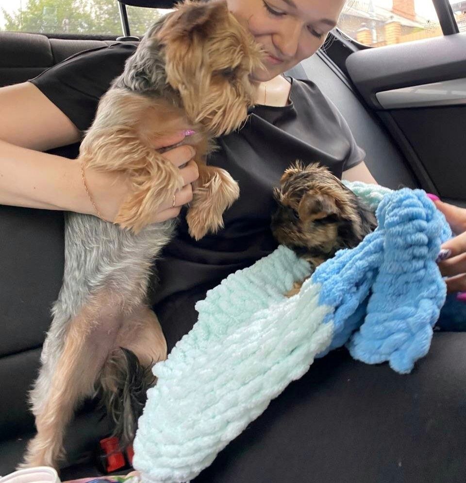 Первое знакомство