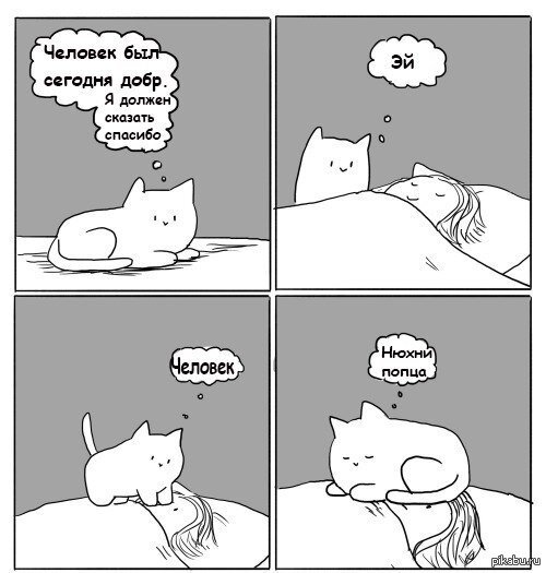 Мои любимые мемы с просторов интернета